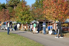 dsc_0216.jpg