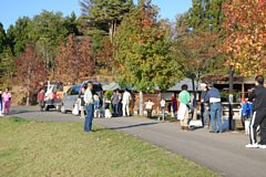 dsc_0217.jpg